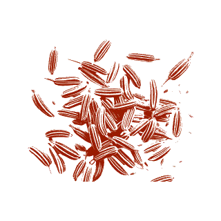 Cumin seeds