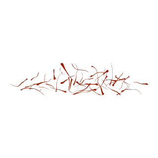 Saffron threads